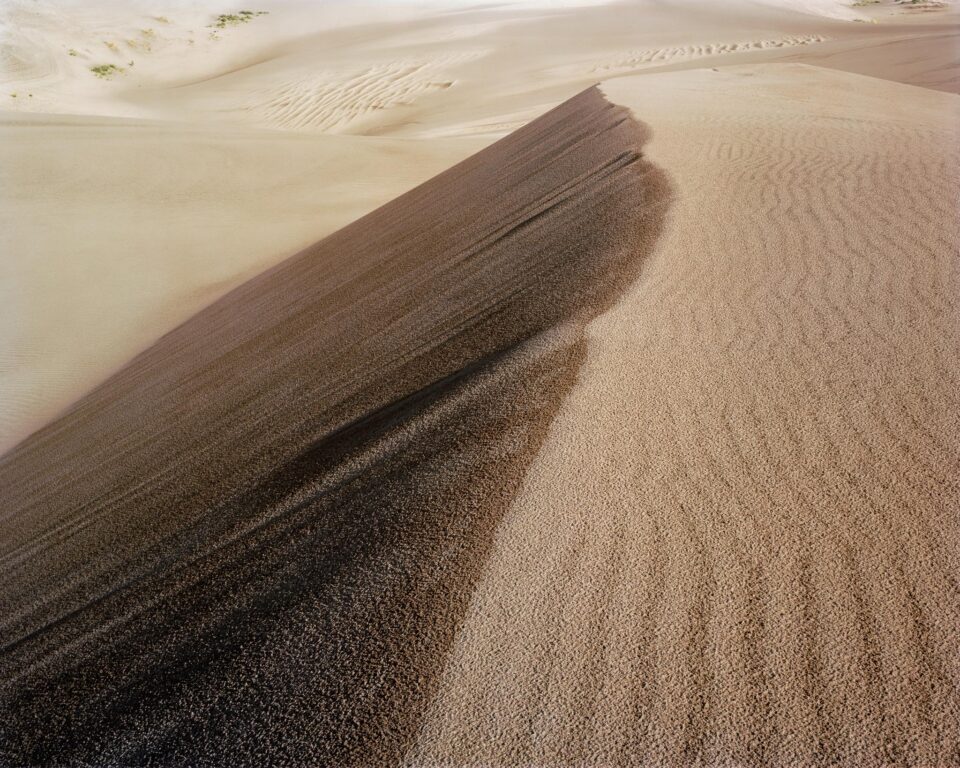 Great Sand Dunes Golden Light 4x5
